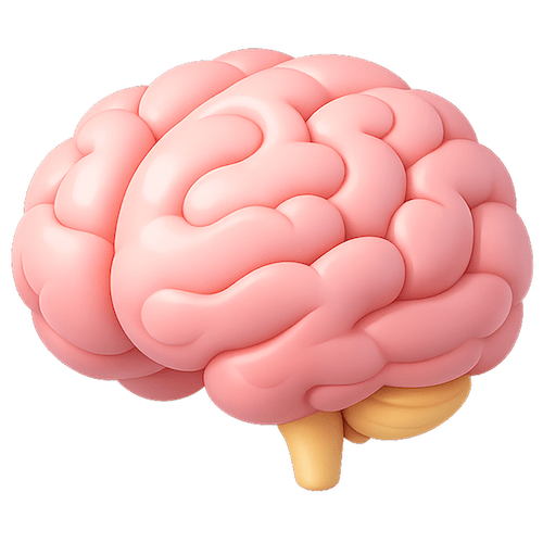 icone-cerveau-MMS-mini-mental-state-cognitif-memoire