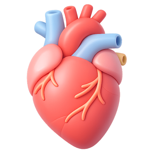 icone-coeur-cardiaque