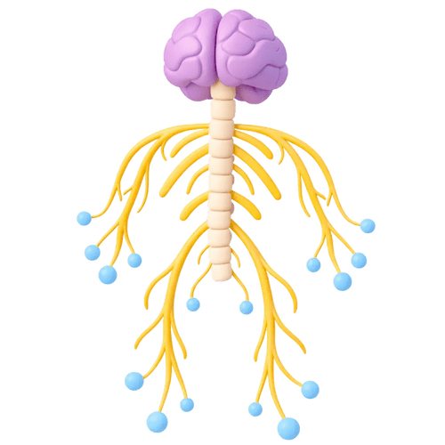 icone-nerfs-neuropathie-DN4