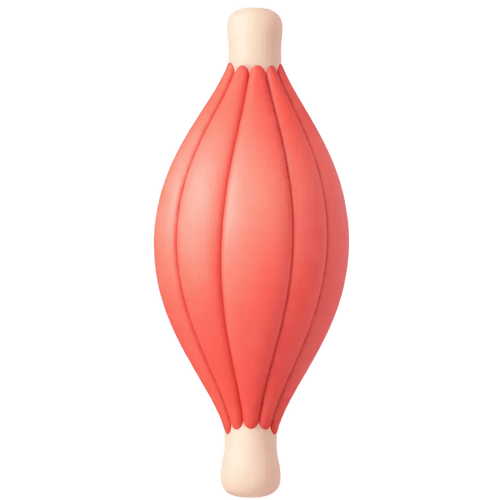 icone-sarc-f-muscle-dystrophie