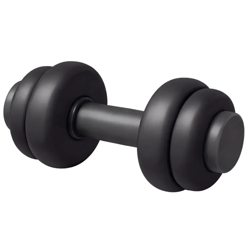 icone-sport-sante-haltere-exercice-physique