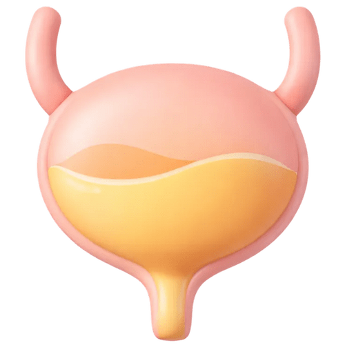 icone-vessie-cystite